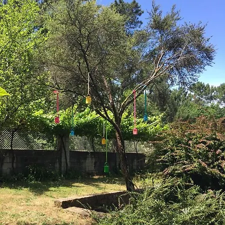 فندق مبيت وإفطار Agro Da Gandarela Teo