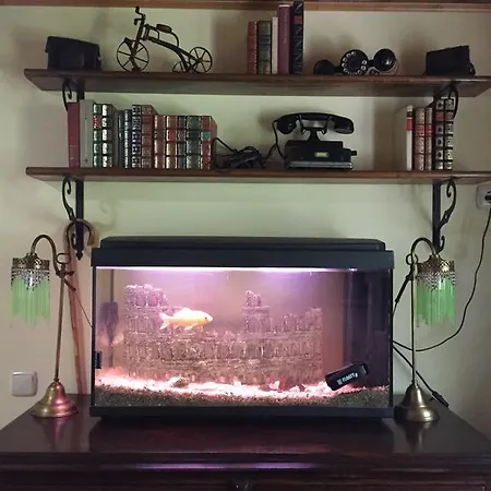 Agro Da Gandarela 3*