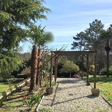 Bed & Breakfast Agro Da Gandarela 3*