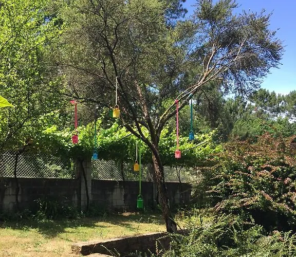 Bed & Breakfast Agro Da Gandarela Teo