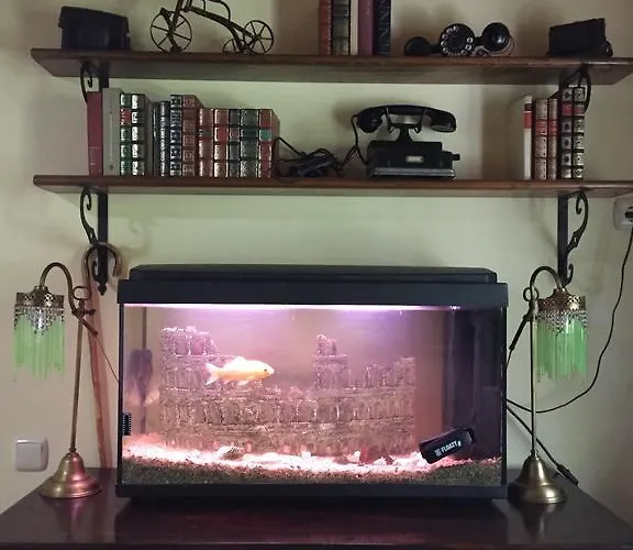 Agro Da Gandarela 3*