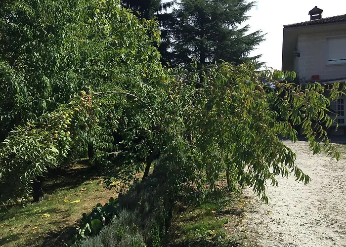 Agro Da Gandarela Bed & Breakfast