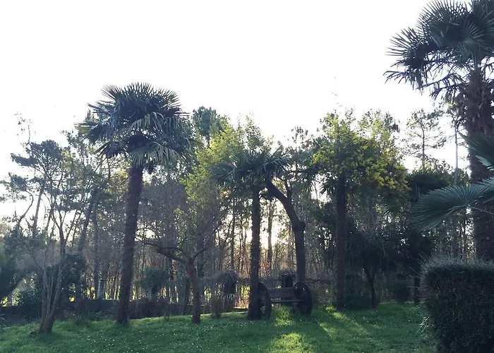 Agro Da Gandarela Bed & Breakfast Teo